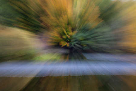 Abstract photo, A tree standing in the water photographed with different effects of motion and zoom. Colorful textured background. long shutter speed.の写真素材