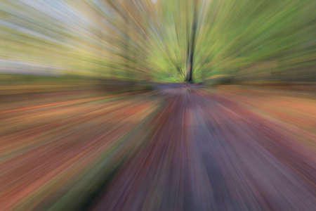 Abstract photo, forest road in summar photographed with different effects of motion and zoom. Colorful textured background. long shutter speed.の写真素材