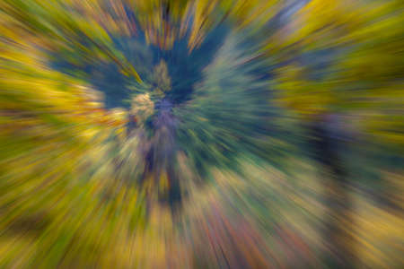 Abstract photo, forest in autumn photographed with different effects of motion and zoom. Colorful textured background. long shutter speed.の写真素材