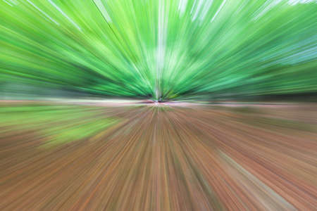 Abstract photo, forest in summer photographed with different effects of motion and zoom. Colorful textured background. long shutter speed.の写真素材