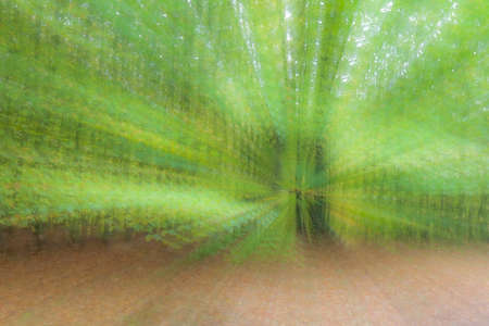 Abstract photo, forest in summar photographed with different effects of motion and zoom. Colorful textured background. long shutter speed.の写真素材
