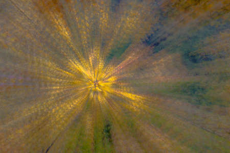 Abstract photo, forest in autumn photographed with different effects of motion and zoom. Colorful textured background. long shutter speed.の写真素材
