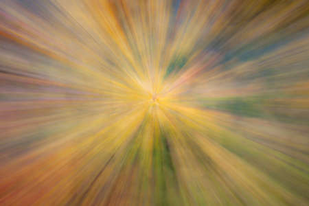 Abstract photo, forest in autumn photographed with different effects of motion and zoom. Colorful textured background. long shutter speed.の写真素材