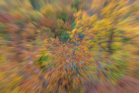 Abstract photo, forest in autumn photographed with different effects of motion and zoom. Colorful textured background. long shutter speed.の写真素材