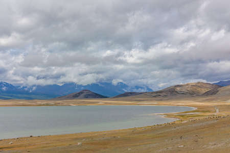 Amazing Altai natural landscape, calm lake with emerald water, surrounded by incredible mountain ice peaks with a gloomy, cloudy sky.の写真素材