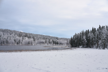 Snpwy winter landscapeの写真素材
