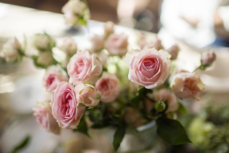 bunch of pink roses in the interiorの写真素材