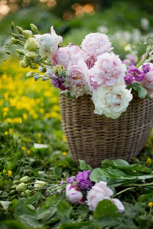 basket with garden summer flowers in the field in sunset lightの写真素材