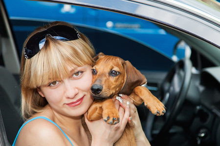 Girl with a Basset Hound sitting in the carの写真素材