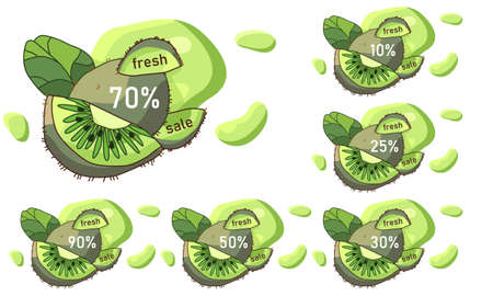 Kiwi fruit sale label sticker set on white isolated backdrop. Discount offer for vegan shop, promo card, healthy food shop. Internet store or website banner. Drawn style stock vector illustrationのイラスト素材