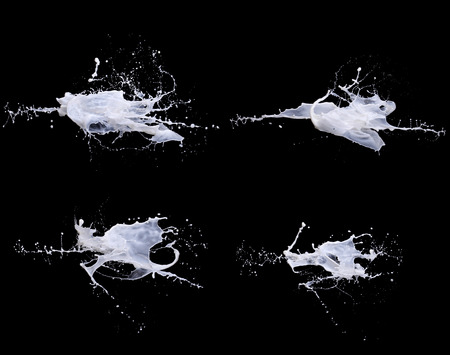 Collection Milk Splash isolated on Black Backgroundの写真素材