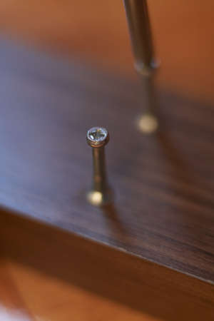 Screw embedded in wood. Assembling furniture at home. Carpentry session.