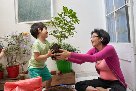 mother and son change places plant. Gardening sessionの写真素材