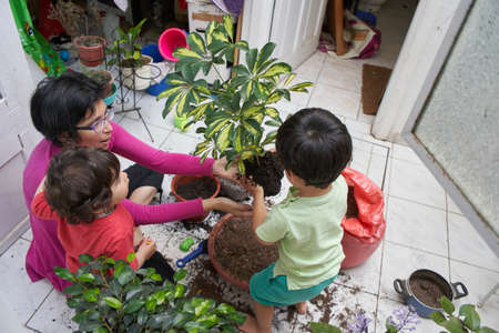 mother and children change pot plants. Ecological education for children. Gardening sessionの写真素材