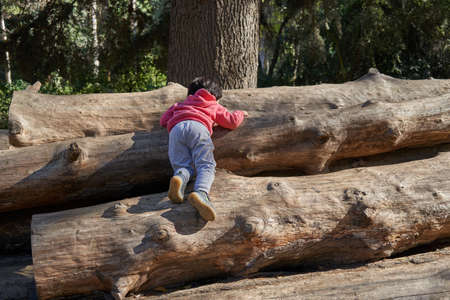 little boy climbs large logs of wood in the forest. Effort and sacrifice. individual sessionの写真素材