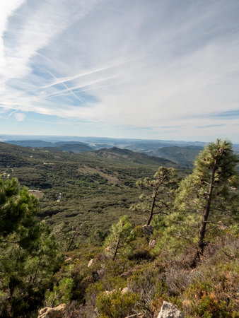 Wooden and trees in the park. CORIPE, MONTELLANO, ANDALUSIA, SPAINの写真素材