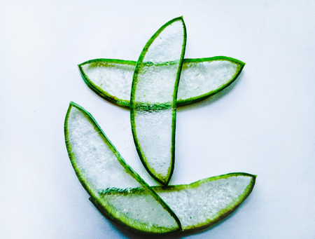 Aloe Vera Ganesha Godの写真素材