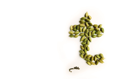 Cardamom Ganesha Godの写真素材