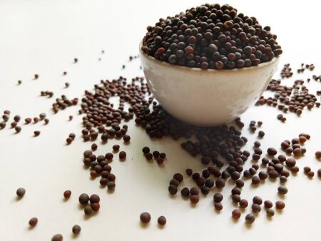 Black Mustardの写真素材