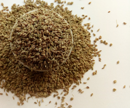 Celery Seedsの写真素材