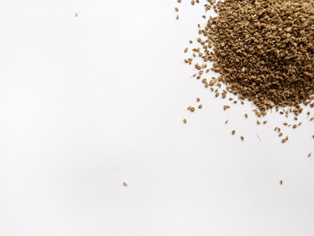 Celery Seedsの写真素材
