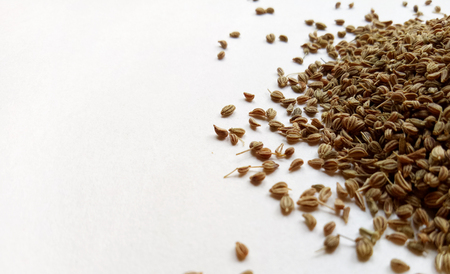 Celery Seedsの写真素材