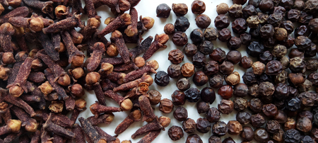 Peppercorns and Cloves Spice Combinationの写真素材