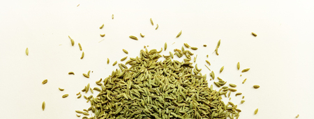 Aniseedの写真素材