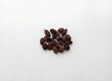 Black Cardamomの写真素材