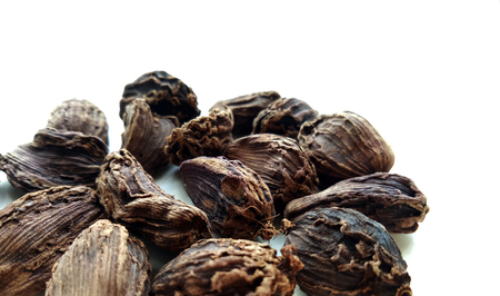 Black Cardamomの写真素材
