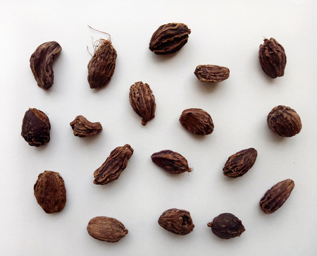 Black Cardamomの写真素材