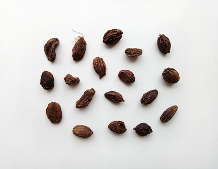 Black Cardamomの写真素材