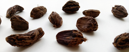 Black Cardamomの写真素材