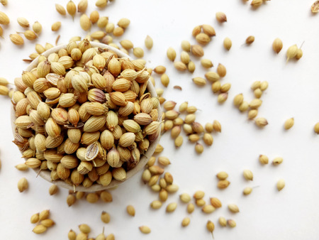 Coriander Seedsの写真素材