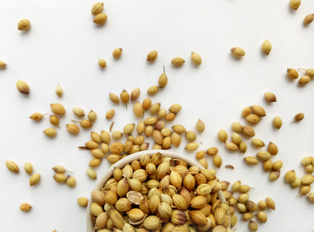 Coriander Seedsの写真素材