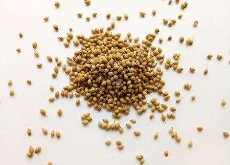 Coriander Seedsの写真素材