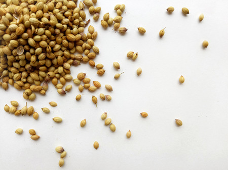 Coriander Seedsの写真素材