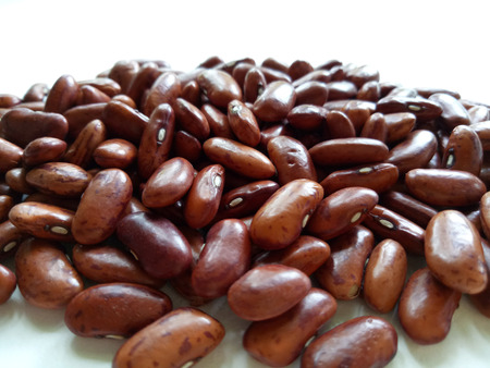 Kidney Beansの写真素材