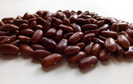 Kidney Beansの写真素材