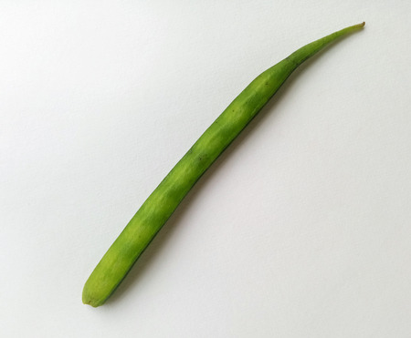 Cluster beansの写真素材