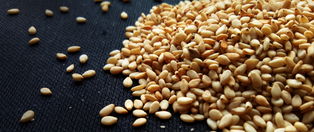 Sesame Seedsの写真素材