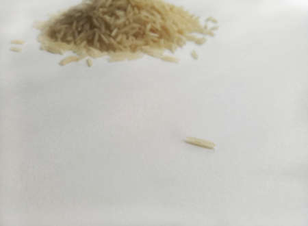Riceの写真素材