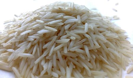 Riceの写真素材