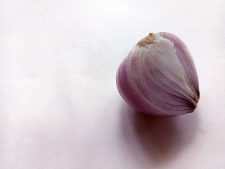 Onion