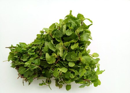 Fresh Mint natural and herbal leavesの写真素材