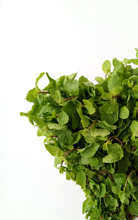 Fresh Mint natural and herbal leavesの写真素材
