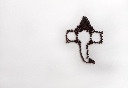 Black Mustard Ganesha Artの写真素材