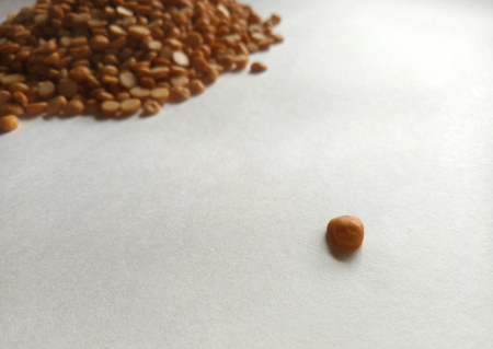 Yellow Split Peas Healthy Food Ingredientの写真素材