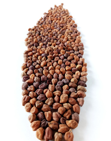 Chickpea Natural Dry Pea Healthy Food Ingredientの写真素材