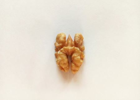 Walnut a Healthy and Nutritional Dry Fruitの写真素材
